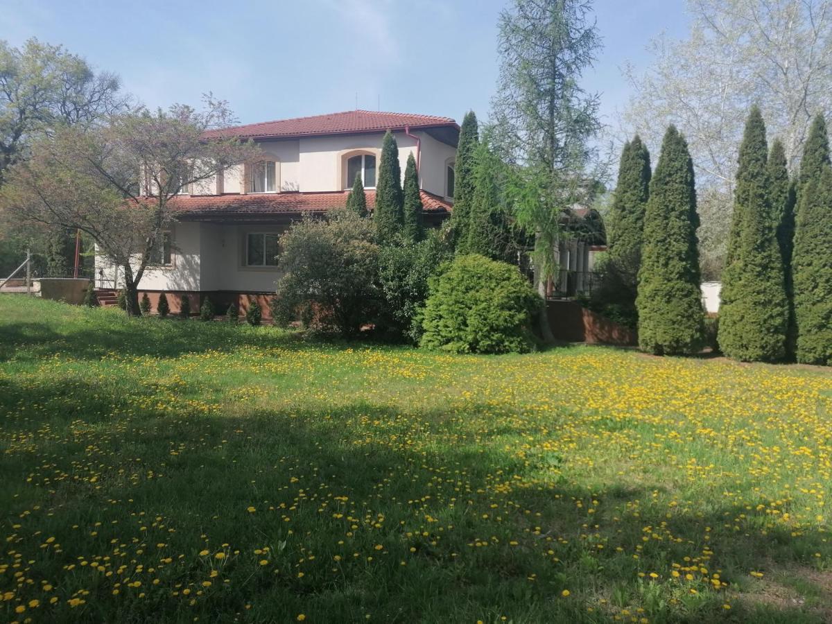 Staff Guest House Nyíregyháza Dış mekan fotoğraf